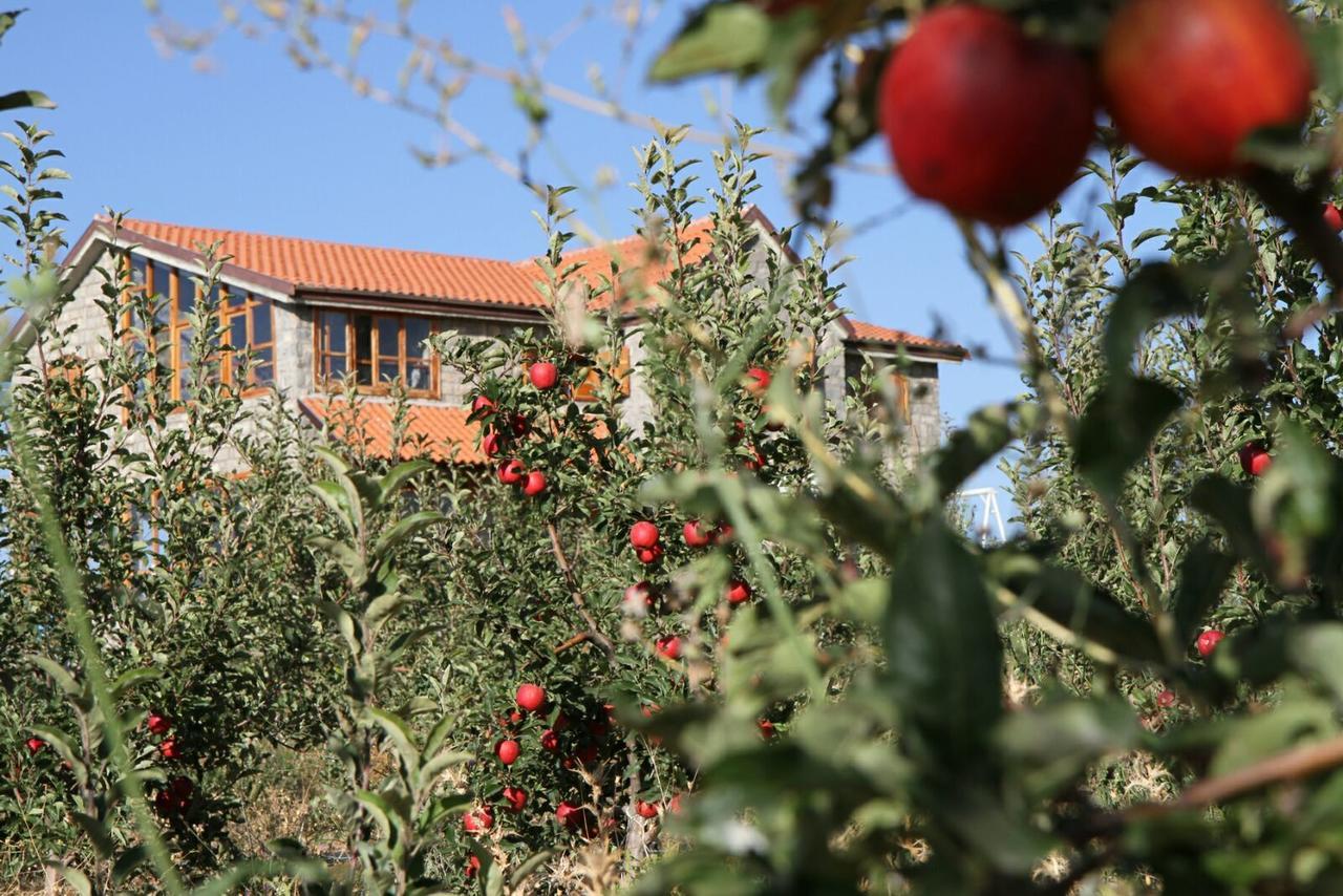 Отель La Pommeraie D'Ifrane Ифран Экстерьер фото